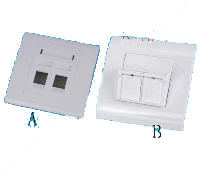 111317. Wall Plate 2 port