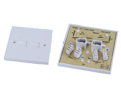 111319. Wall Plate 2 port